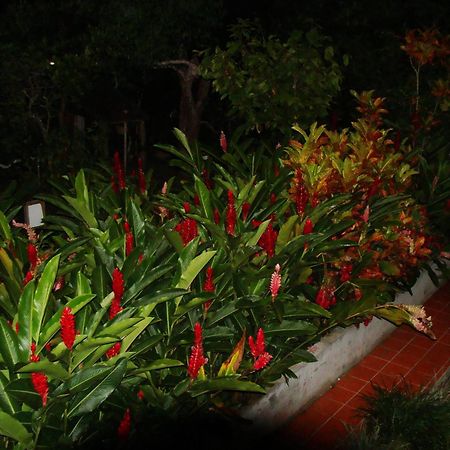 L'Ecomusee Creole De La Guadeloupe Sainte-Rose Zewnętrze zdjęcie