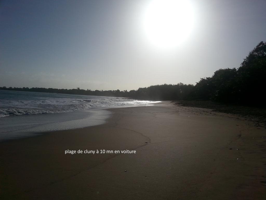 L'Ecomusee Creole De La Guadeloupe Sainte-Rose Zewnętrze zdjęcie