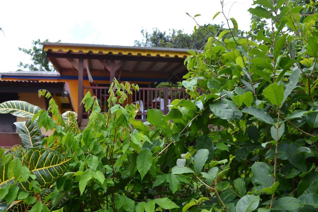 L'Ecomusee Creole De La Guadeloupe Sainte-Rose Zewnętrze zdjęcie